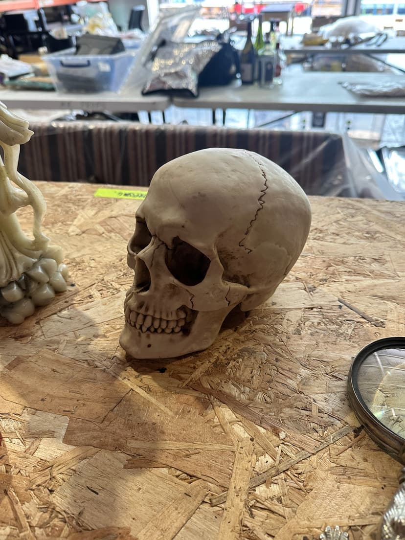 A tagged prop skull on a workbench in a film props store, catalogued for reuse by Material Index