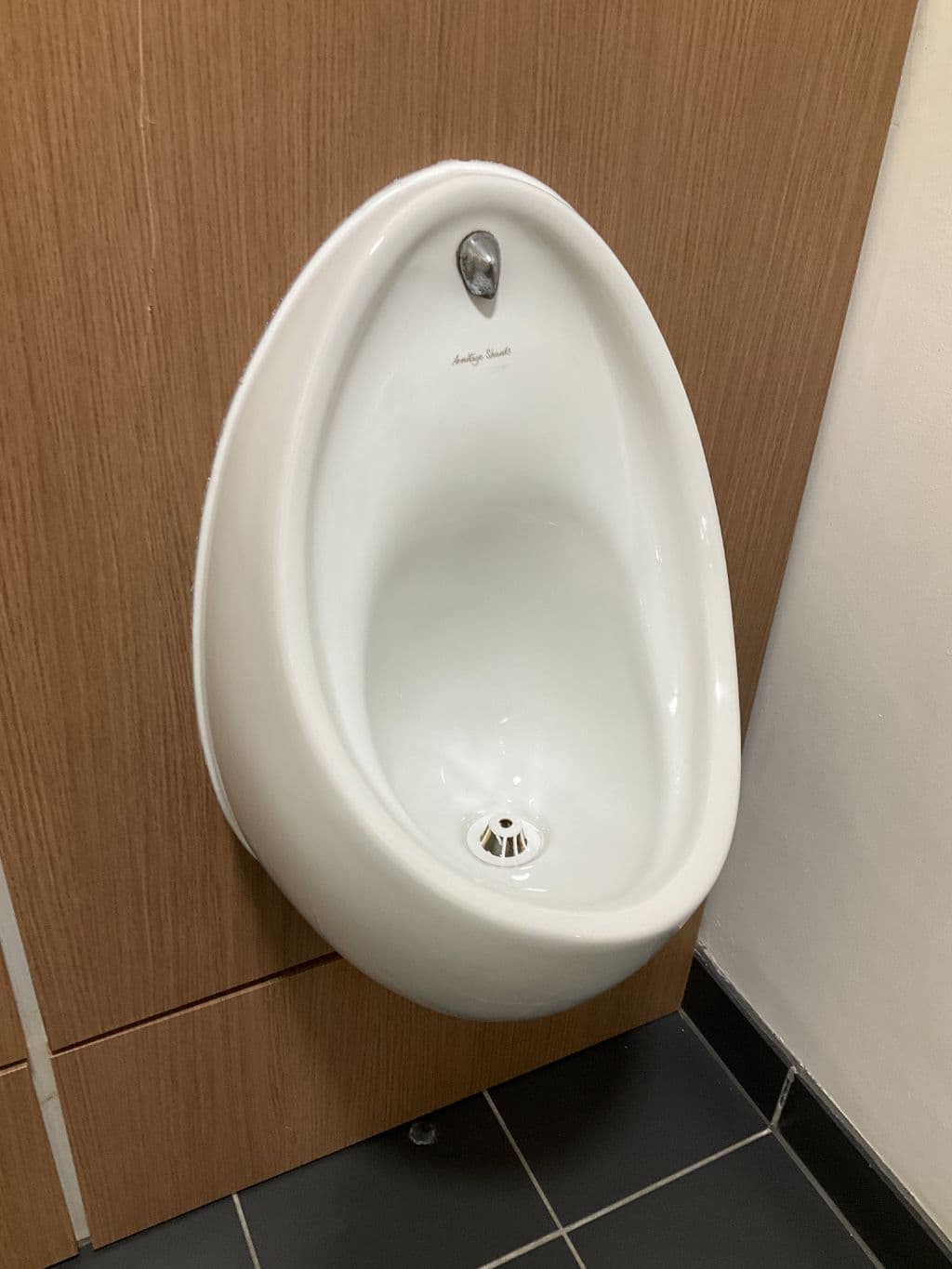 Wall-hung urinals