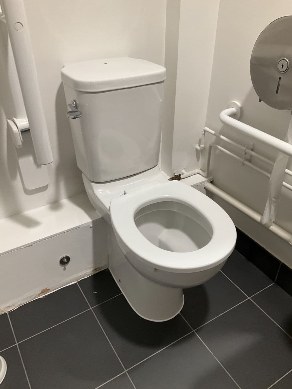 WC pans - accessible