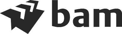 Royal BAM Group