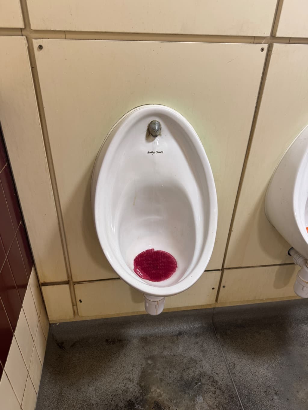 Urinal - Wall Hung