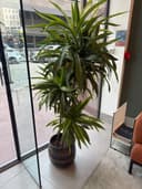 Product carousel Indicator