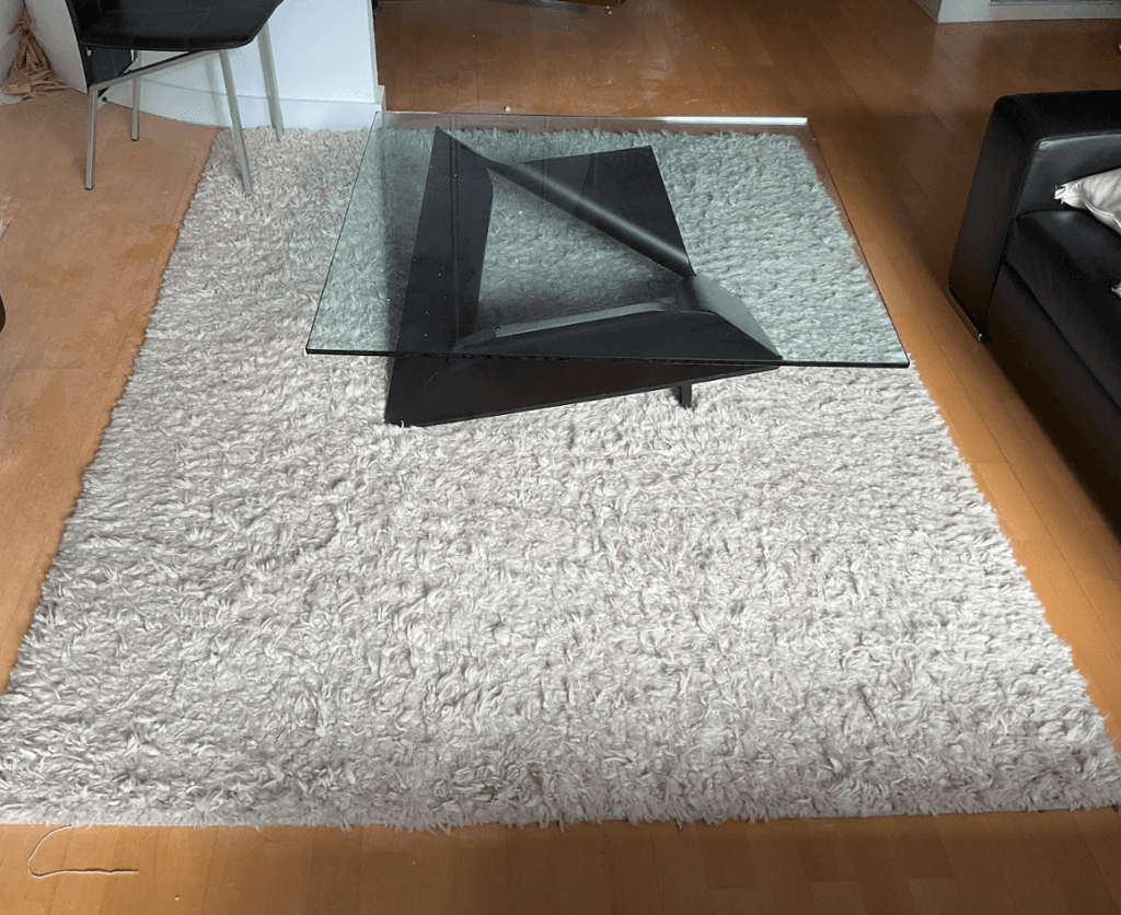 Carpet/Rug