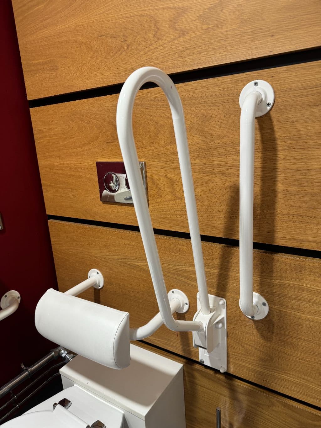 Fold-down Support Grab Rail