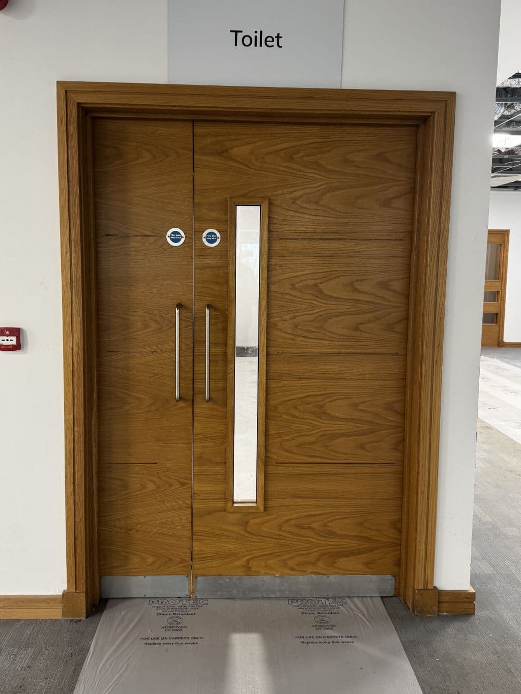Fire Door with Vision Panel