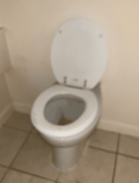 WC pans