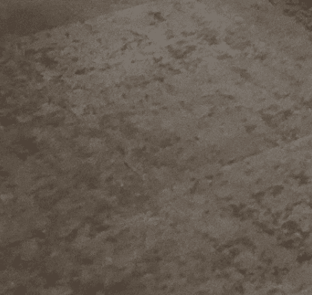 Pile carpet tiles