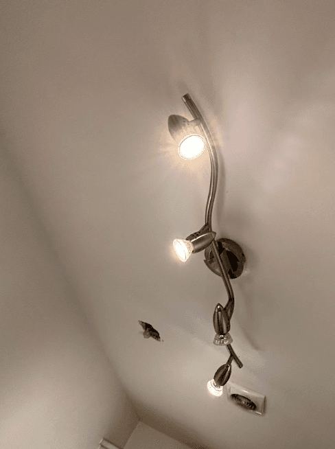 Multi-Spotlight Ceiling Light