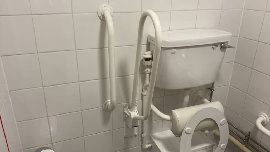 Doc M Fold-down Support Rail (toilet Grab Rail)