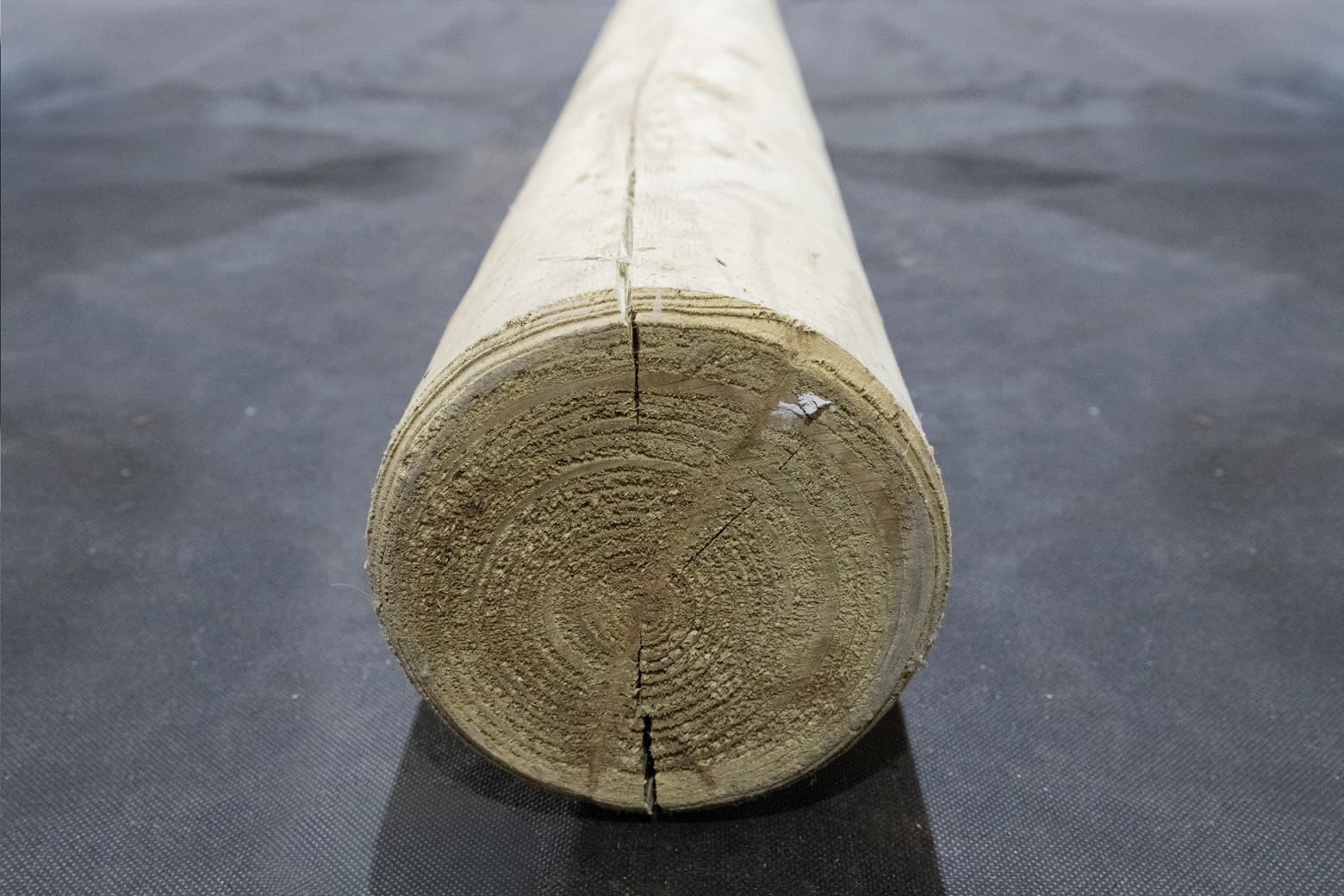 Log Round with chamfered ends 150mm Diameter 1.2m