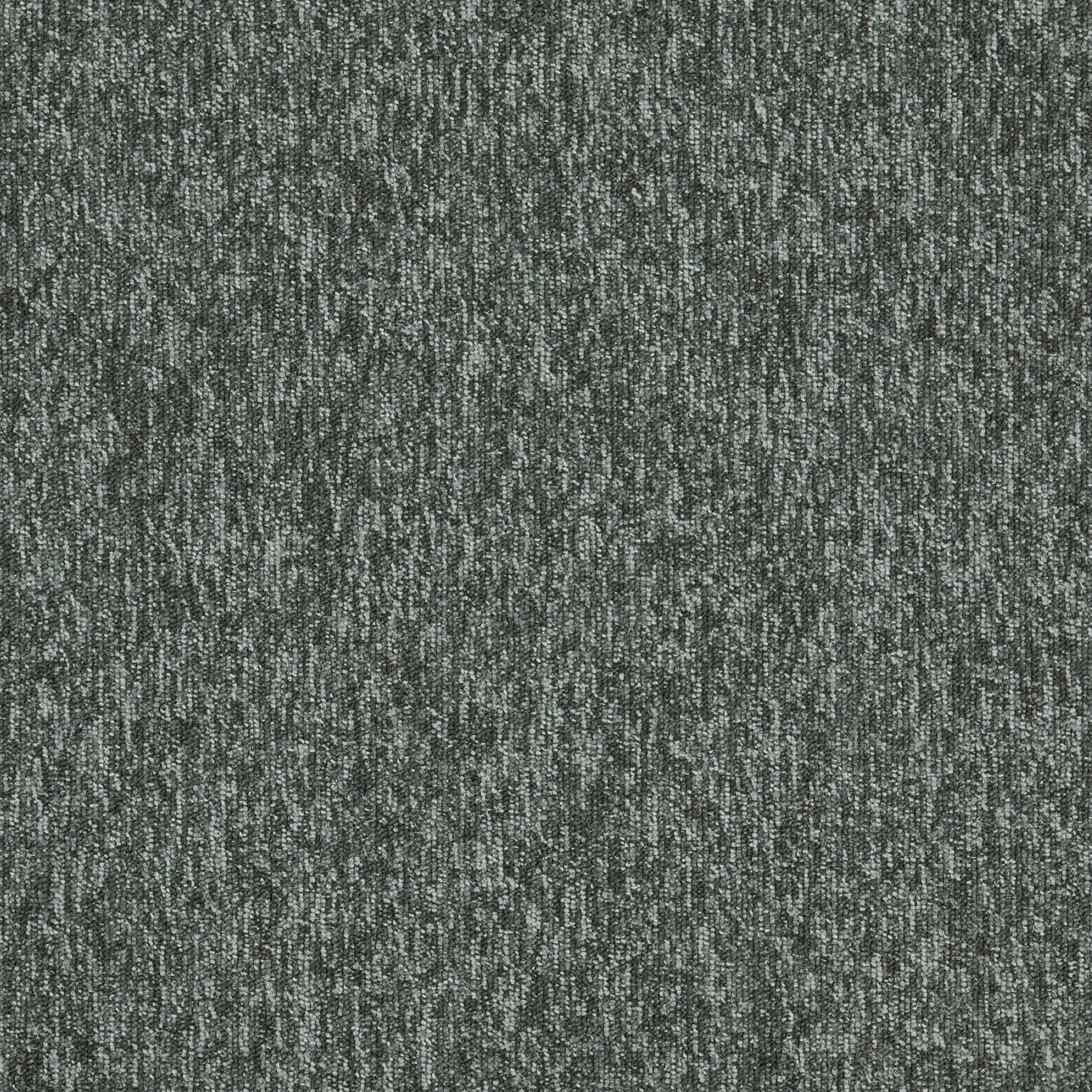 New Horizons II 4117007 Ash