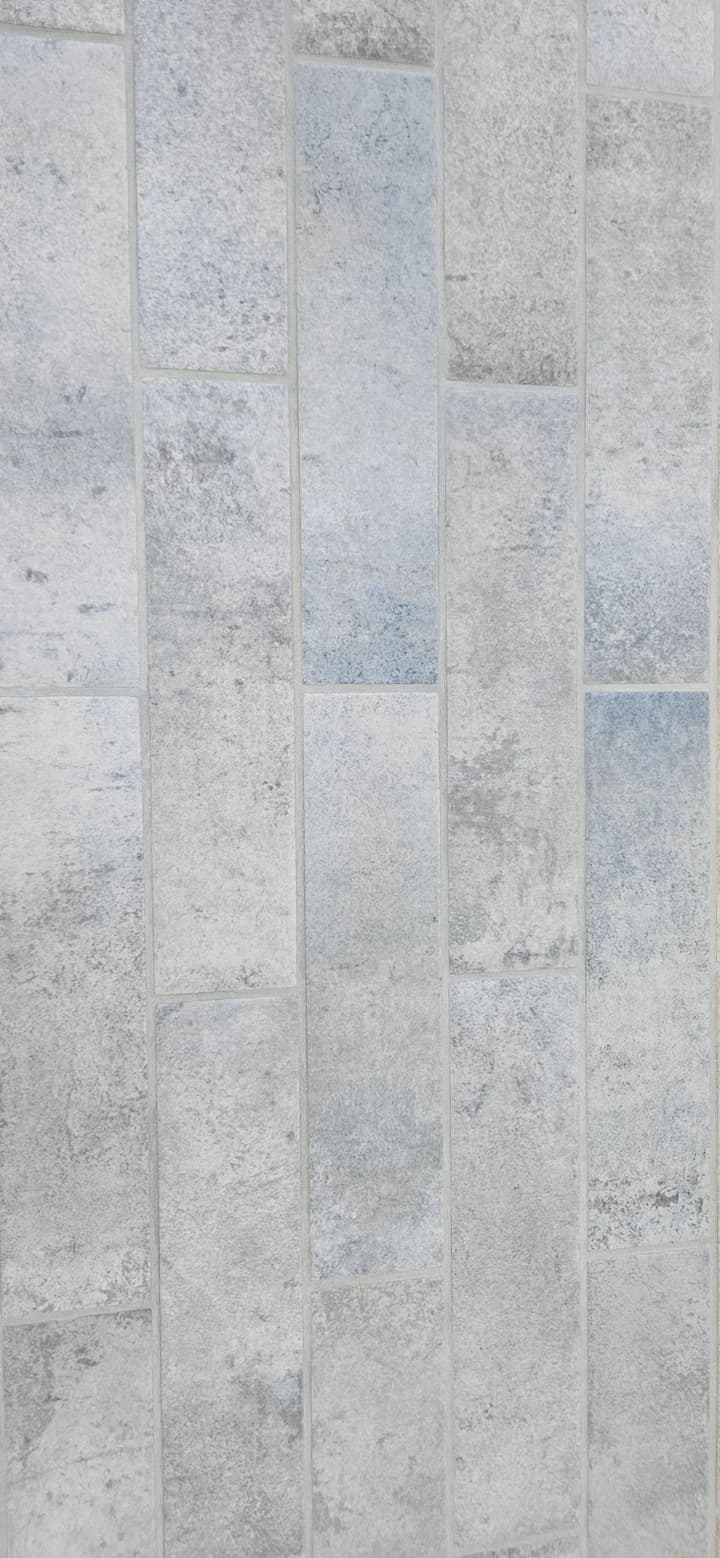 Antiche Sabine | Porcelain | 65mm x 250mm | Matt R9