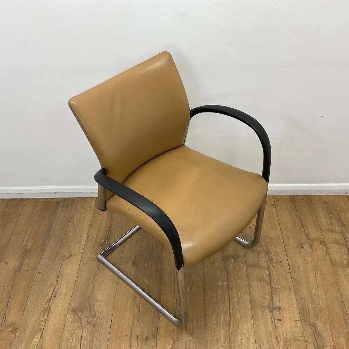 Senator Trillipse Tan Meeting Chair