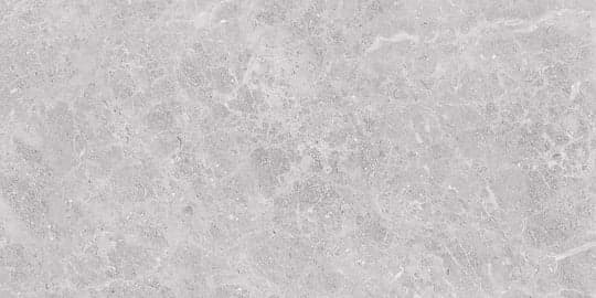 WMS Grey | Ceramic Tile | 300x600mm | Gloss