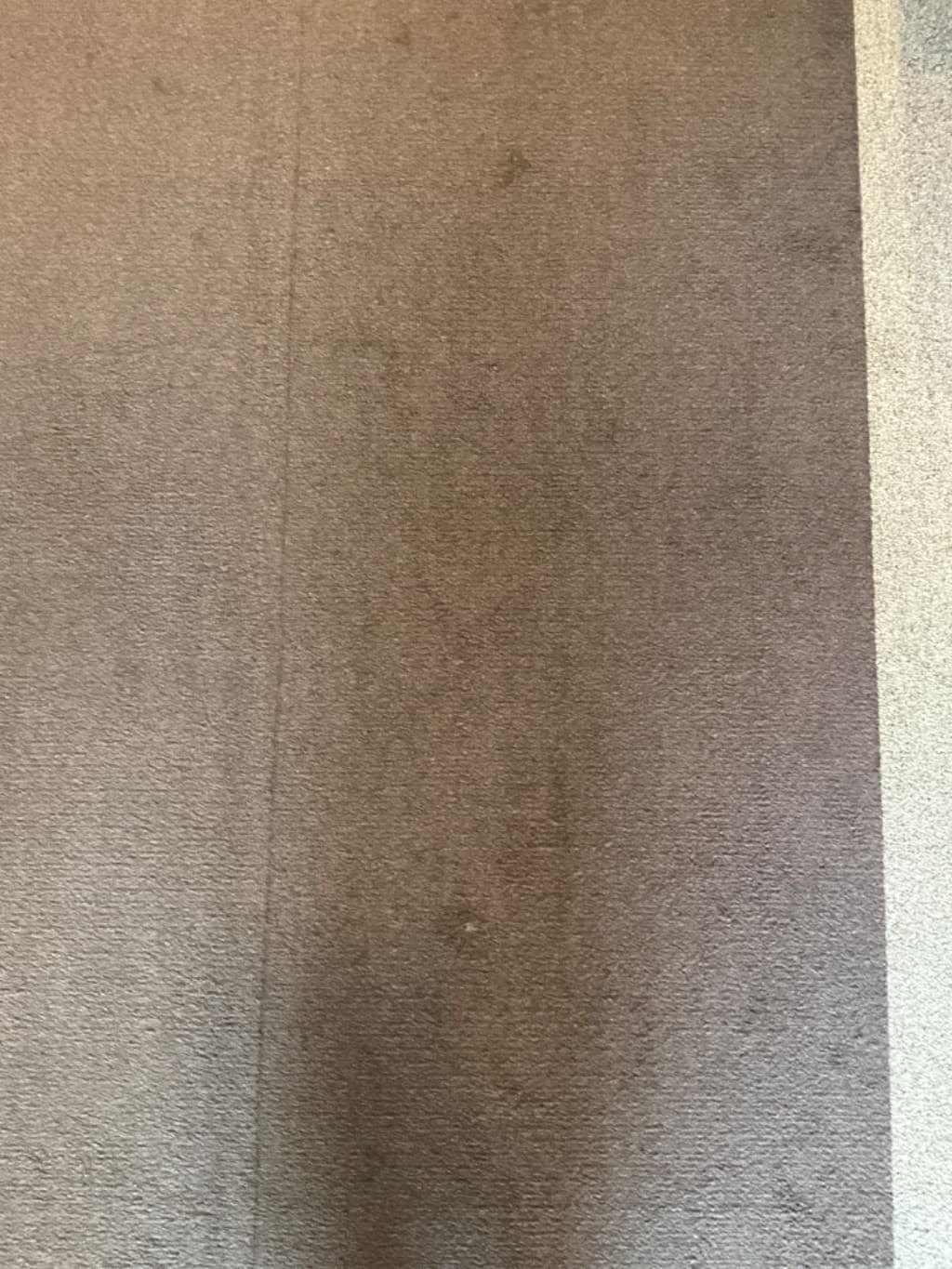 Grey-brown Carpet Tile Flooring