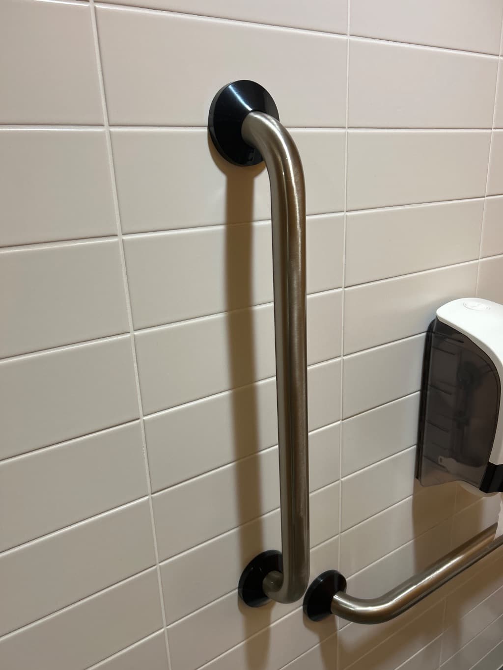 Stainless Steel Grab Rail