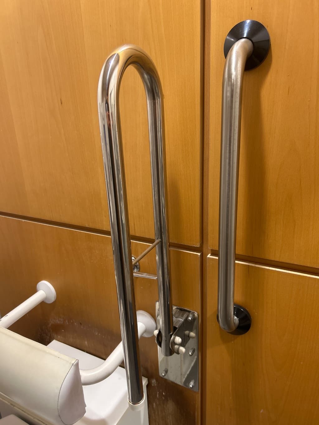 Stainless Steel Grab Rail