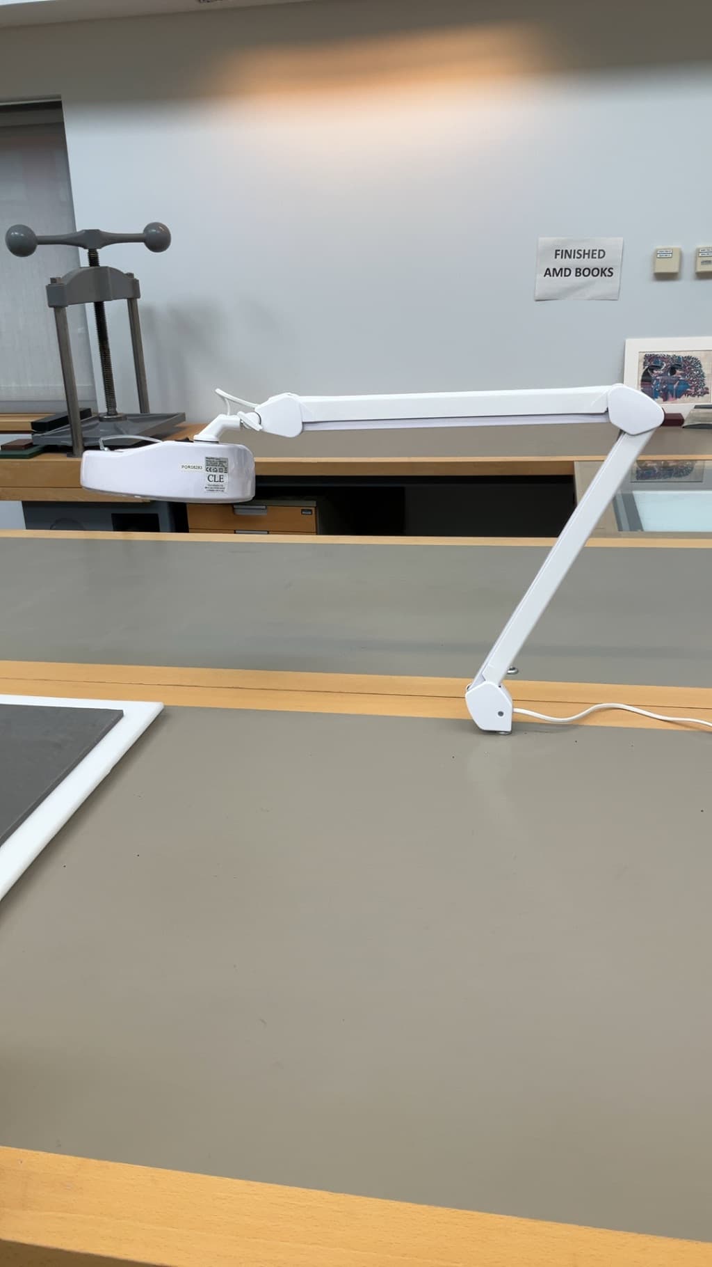 Led Magnifier Task Lamp (preservation Light)